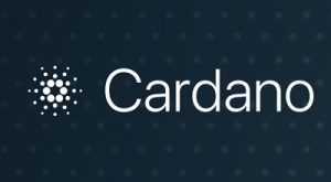 cardano erfahrung